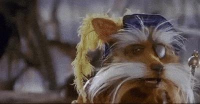 Sir Didymus the knight-terrier looks puzzled, then mouths "...yes?"