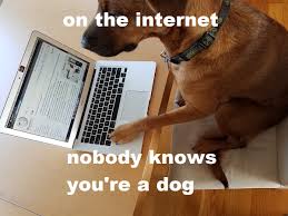 A dog at a keyboard, with the caption "On the internet nobody knows you're a dog".